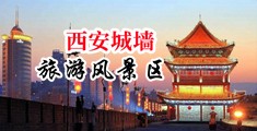 深插骚逼阴道射精毛片免费看中国陕西-西安城墙旅游风景区