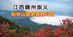 日本美女粉逼被狠狠操